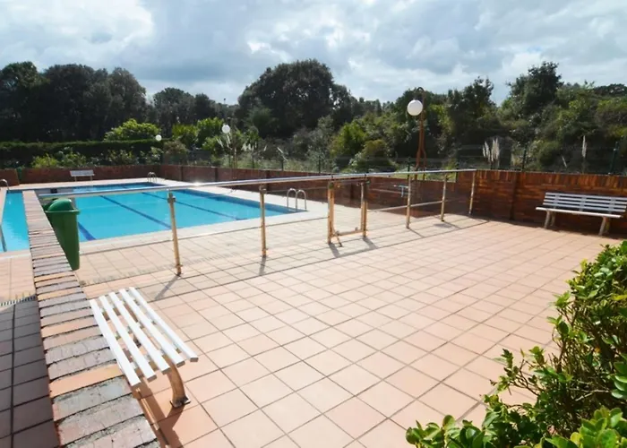 Circobueno De Isla - 5609